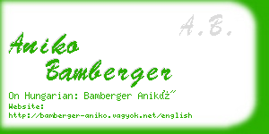 aniko bamberger business card